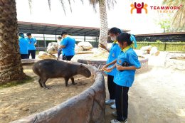 ทัศนศึกษาจังหวัดพระนครศรีอยุธยา