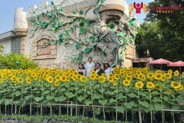 ทัศนศึกษาจังหวัดปทุมธานี - กรุงเทพมหานคร - จังหวัดประจวบคีรีขันธ์