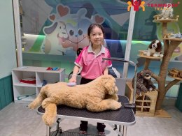 ทัศนศึกษา Mega HarborLand