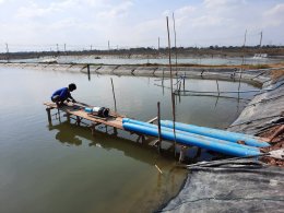 Job Report : ฟาร์มปลากะพง -จังหวัดสมมุทรสาคร