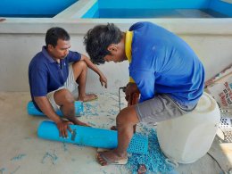 Job Report : Sea Bream Farm - Samut Sakhon Province