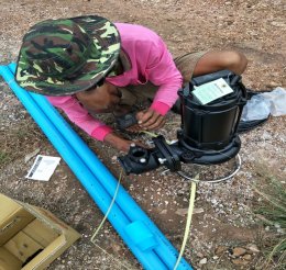 Job Report : Shrimp Farm - Krabi Province