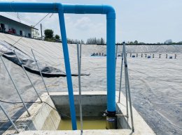 Job Report :Shrimp Farm - Surat Thani Province
