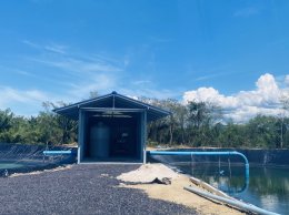 Job Report : Shrimp Farm - Surat Thani Province