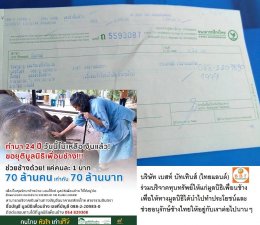 Donation to "Friends of the Asian Elephant Foundation"