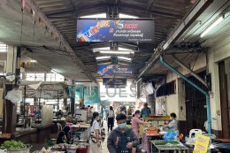 Small Size Big Impact