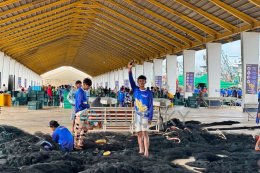 เจาะกลยุทธ์ สะพานปลา จากอ่าวไทยสู่อันดามัน Touch Point ทรงพลัง เข้าถึงกำลังซื้อแรงงานประมงตัวจริง"