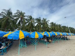 Umbrella Media-Biore UV Extreme