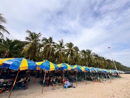 Umbrella Media-Biore UV Extreme