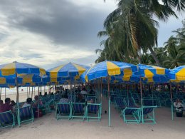 Umbrella Media-Biore UV Extreme