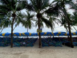 Umbrella Media-Biore UV Extreme