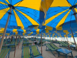 Umbrella Media-Biore UV Extreme