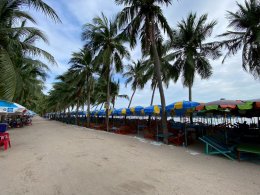 Umbrella Media-Biore UV Extreme