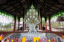 รวมไหว้พระ วัดสวย วัดศักดิ์สิทธิ์ ห้ามพลาด ในเชียงใหม่-เชียงราย