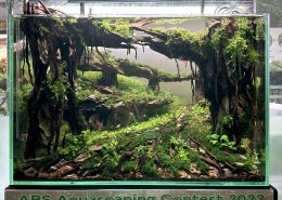 ABS Aquascape contest 2022