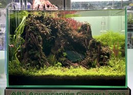 ABS Aquascape contest 2022