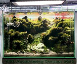 ABS Aquascape contest 2022