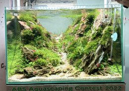 ABS Aquascape contest 2022