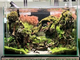 ABS Aquascape contest 2022