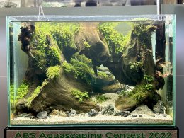 ABS Aquascape contest 2022