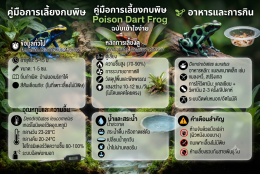 คู่มือการเลี้ยงกบพิษ Poison Dart Frog