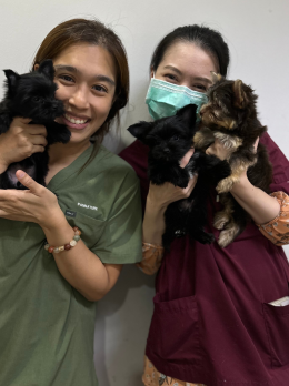 ทีมแพทย์