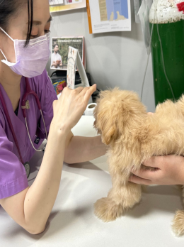 ทีมแพทย์