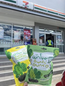 A healthy spinach snack acceptable for youngsters who aren't vegetarians is Crispy GO Organic Spinach Crispy, which is now sold at 7-11.