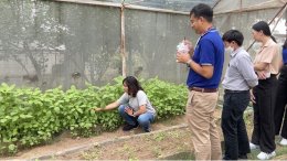 With assistance from the National Innovation Agency (NIA), Crispy Organic Spinach Snacks are prepared to join the markets in Germany and Taiwan.