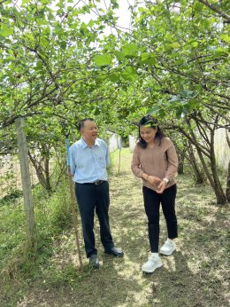 Grateful to Experts from the Faculty of Agro-Industry, Kasetsart University, for Enhancing the Grand Organic Teams Capabilities