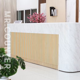 เคาน์เตอร์หน้าบริษัท เคาน์เตอร์ต้อนรับ