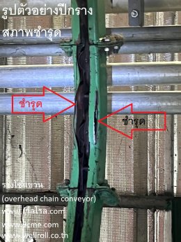 รางโซ่แขวน(overhead chain conveyor)