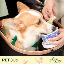 Grand Opening PETClub at Marché Thonglor