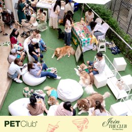 Grand Opening PETClub at Marché Thonglor