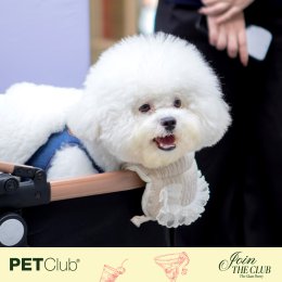 Grand Opening PETClub at Marché Thonglor