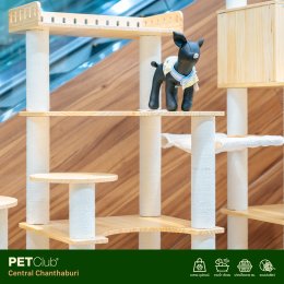 PETClub เปิดสาขาใหม่ที่ Central Chanthaburi  ศูนย์รวมสำหรับคนรักสัตว์เลี้ยงแบบครบวงจร 