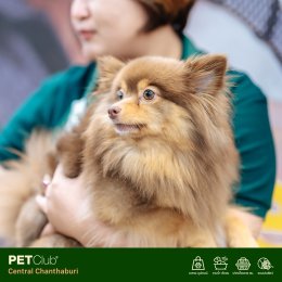 PETClub เปิดสาขาใหม่ที่ Central Chanthaburi  ศูนย์รวมสำหรับคนรักสัตว์เลี้ยงแบบครบวงจร 