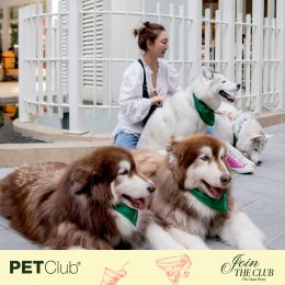 Grand Opening PETClub at Marché Thonglor