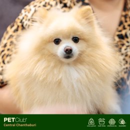 PETClub เปิดสาขาใหม่ที่ Central Chanthaburi  ศูนย์รวมสำหรับคนรักสัตว์เลี้ยงแบบครบวงจร 