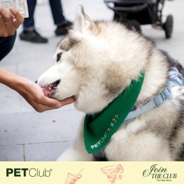 Grand Opening PETClub at Marché Thonglor