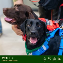 PETClub เปิดสาขาใหม่ที่ Central Chanthaburi  ศูนย์รวมสำหรับคนรักสัตว์เลี้ยงแบบครบวงจร 