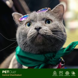 PETClub เปิดสาขาใหม่ที่ Central Chanthaburi  ศูนย์รวมสำหรับคนรักสัตว์เลี้ยงแบบครบวงจร 