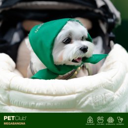 PETClub Re-Grand Opening Megabangna โฉมใหม่! เพื่อคนรักสัตว์เลี้ยง