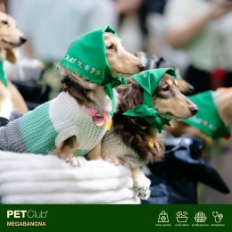 PETClub Re-Grand Opening Megabangna โฉมใหม่! เพื่อคนรักสัตว์เลี้ยง