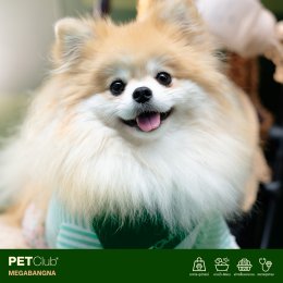 PETClub Re-Grand Opening Megabangna โฉมใหม่! เพื่อคนรักสัตว์เลี้ยง