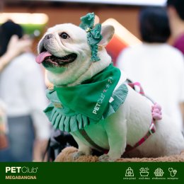 PETClub Re-Grand Opening Megabangna โฉมใหม่! เพื่อคนรักสัตว์เลี้ยง