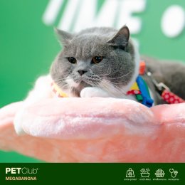 PETClub Re-Grand Opening Megabangna โฉมใหม่! เพื่อคนรักสัตว์เลี้ยง