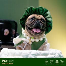 PETClub Re-Grand Opening Megabangna โฉมใหม่! เพื่อคนรักสัตว์เลี้ยง