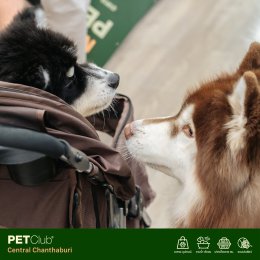 PETClub เปิดสาขาใหม่ที่ Central Chanthaburi  ศูนย์รวมสำหรับคนรักสัตว์เลี้ยงแบบครบวงจร 