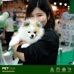 PETClub Re-Grand Opening Megabangna โฉมใหม่! เพื่อคนรักสัตว์เลี้ยง